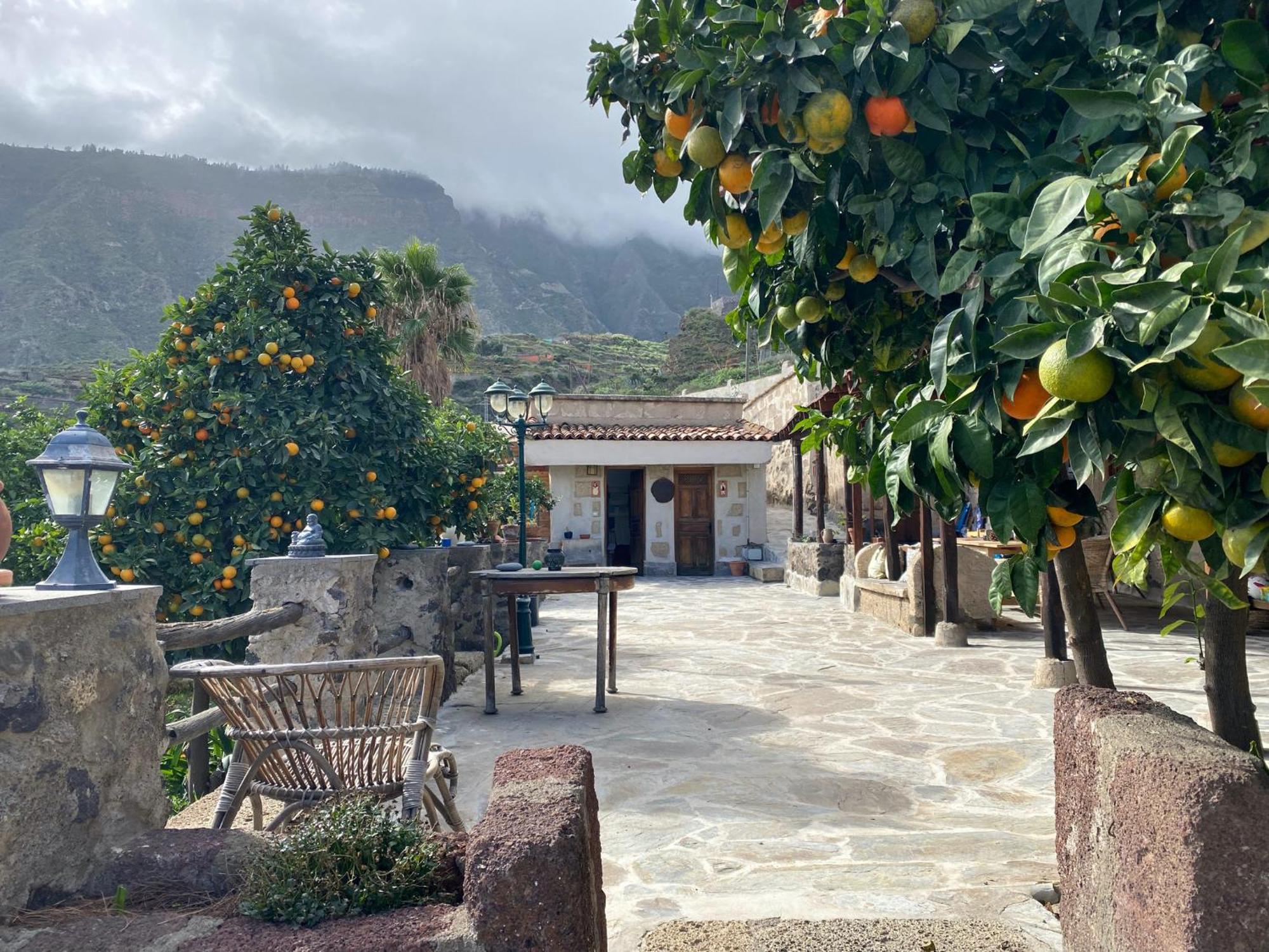 Biofinca Casa El Riego Güimar 外观 照片